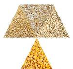 фото Крупа - гороховая, ячменная, пшеничная, ячневая ГОСТ