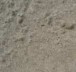Фото №2 Песок на подсыпку, Песок 02, 03-04, 03, 04