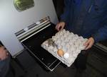 фото Яйцемоечная машина для мойки товарного яйца