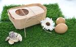 Фото №2 Эко-упаковка из дерева для яиц на 10 ячеек (250*100*70 мм