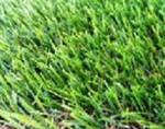 Фото №2 Трава искусственная ландшафтная, «Глория» Монофиламентная