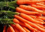 фото Морковь в сетках