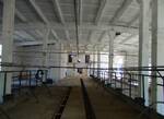 фото Реконструкция молочных ферм КРС и МРС