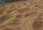Фото №2 Песок крупный мытый