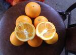 фото Апельсины Абхазские оптом 28 руб.кг