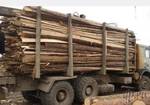 фото Доставка дров в Перми любой район.