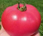 фото Семена розового томата Пинк Крим F1 (250с)