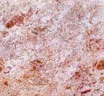 фото Вент фасад из мрамора розовый мрамор