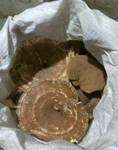 Фото №2 Рейши гриб цельный калиброваный