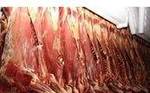 фото Мясо говядина оптом от производителя