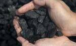 Фото №2 Каменный уголь в Омске