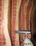 фото Оптовая реализация мяса свиньи и говядины.