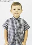 фото Рубашки детские (100% хлопок) оптом и в розницу
