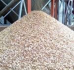 фото Кормовой зернопродукт ( рисовые отходы )
