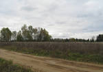 фото Продам 5.5га земли в Московской области.