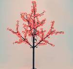 фото Сакура дерево 1,5м
