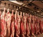 фото Продам мясо оленя оленину оптом