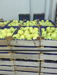фото Сербские яблоки крупным оптом по конкурентным ценам !