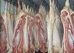 Фото №2 Мясо, опт, свинина, говядина, ливер