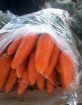 фото Морковь оптом от 20 тонн