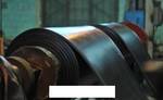 фото Ремень норийный маслостойкий 300 мм 6 слоев толщина 10 мм