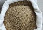 фото Зерно пшеницы на Сибирском тракте купить в розницу
