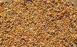 фото Ячмень, пшеница фасованная