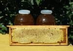 фото Мёд горный Башкирский (липовый, цветочный) доставка