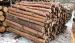 фото Столбы заборные деревянные