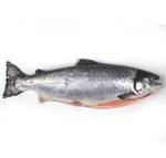 фото Рыба Сёмга Премиум (~2-3 кг)