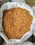 фото Кукуруза в Симферополе, кукурузная гранула, дерть кукурузная