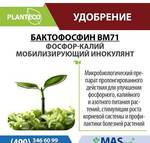 фото Бактофосфорин Planteco - Биоудобрение для предпосевной обраб