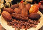 фото Какао бобы