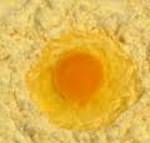 фото Сухой яичный желток