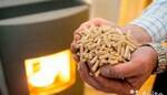 фото Продам пеллеты, топливные гранулы из стружки