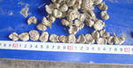 фото Кормовая смесь сено в гранулах для всех животных и птицы