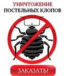 фото Уничтожение тараканов в Москве