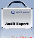 фото Аналитическая система Audit Expert