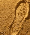 фото Песок строительный размерность 0-2