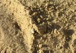 фото Песок карьерный / волжский песок