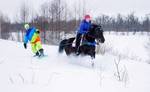 фото Конный скиджоринг