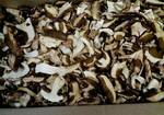 фото Белый гриб боровик сушёный(сухой) пластины