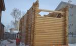 фото Строительство деревянной бани из оцилиндрованного бревна