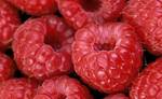 фото Начинка термостабильная Малиновая содержание ягод от 30%