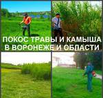 фото Покос травы Воронеж. Мы косим траву триммером.