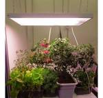 фото Фитосветильник для расады и комнатных растений