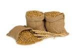 фото Предлагаем зерно в мешках, пшеницу, ячмень, овес...