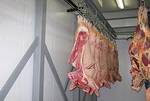 фото Холодильные камеры для хранения мяса