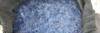 фото Продам Флекс (ПЭТ) дробленный, бело-голубой, мытый 36руб/кг