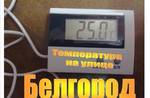 фото Термометр электронный ST-1A с выносным датчиком